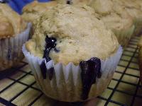 Blueberry Muffins